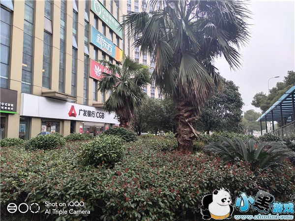 iQOO����Ч��ʵ������С����Ϸ