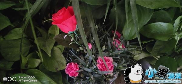 iQOO����Ч��ʵ������С����Ϸ