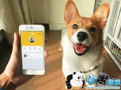 ֧����app���������뷽���̳�С����Ϸ