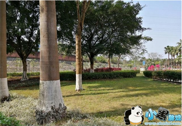 ��Ϊnova4e�ͻ�Ϊnova3e����Ա�ʵ������С����Ϸ