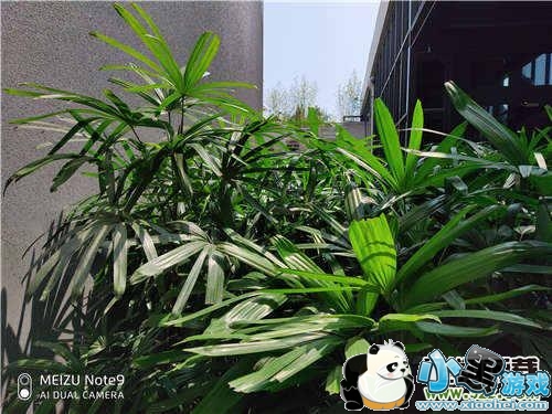 魅族note9手机使用深度对比实用评测小黑游戏 魅族note9手机使用深度对比实用评测小黑游戏