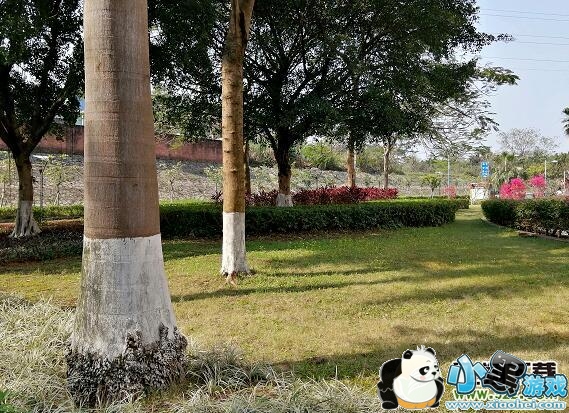 ��ΪNova4e����Ч��ʵ������С����Ϸ