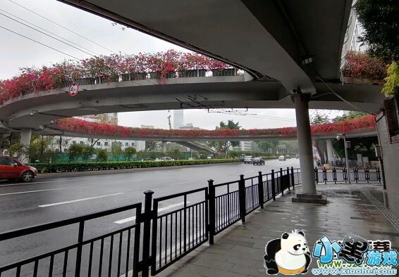 ��ΪNova4e����Ч��ʵ������С����Ϸ