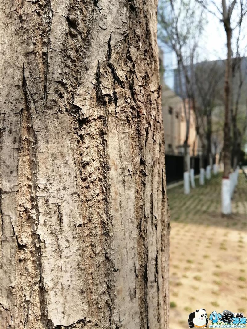 ��Ϊ����9s����Ч��ʵ������С����Ϸ