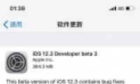 ƻ��iOS12.3 beta3����ʹ�÷����̳�