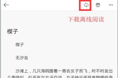 ������ô����С˵ ��������С˵����