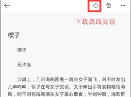 ������ô����С˵ ��������С˵����