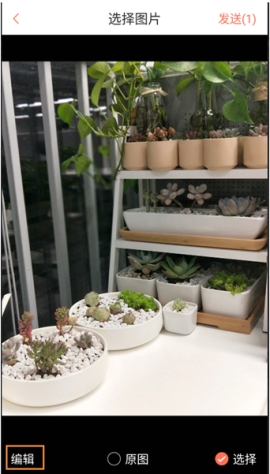 ������ô�༭ͼƬ ���Ʊ༭ͼƬ��������