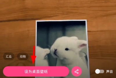 ��һ��APP����ô���ö�̬��ֽ ��һ��APP�����ö�̬��ֽ�Ĳ��轲��