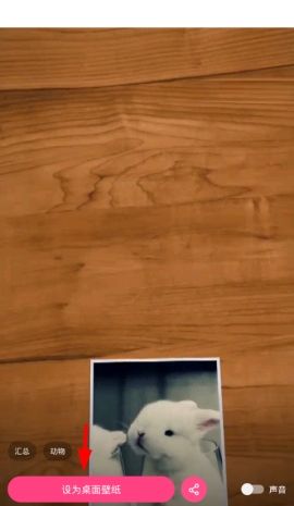 ��һ��APP����ô���ö�̬��ֽ ��һ��APP�����ö�̬��ֽ�Ĳ��轲��