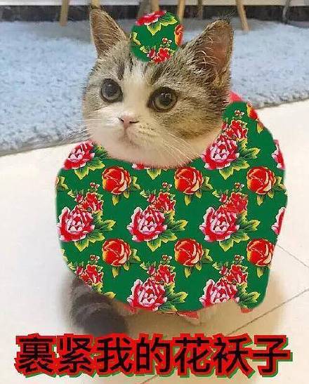 �����˺���ı����2019-�����˹����ҵ�С��