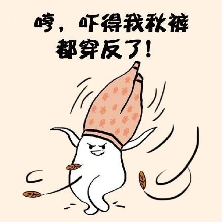 �����������-�ŵ�����㶼������