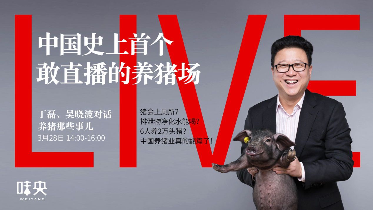 ���������罻����app�������������ջ���ͣ�