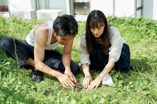 BEdit�ֻ��棺һ�����Կ��硢ˢ��Ƶ��������