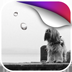 Ӱ����ֻ ��į���궯̬��ֽ v1.0-������Ѷ�� title=