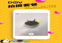 ��Ѷȫ����Ƶ�罻Ӧ��DOV���ܽ���-������Ѷ�� title=