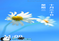 �а��ķ���� WP8�����ڰ�׿�������WP8-������Ѷ�� title=