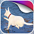 ����С����� ˮ��Ư��̬��ֽ v1.0-������Ѷ�� title=