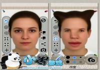 ŤһŤ��һ�� ��Ƭ���ڹ�Ͷ������-������Ѷ�� title=