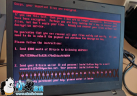 ������������petya���ڹ��ڳ���-������Ѷ�� title=