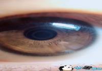 ����΢���۾�-������ô���۾��ĵ������̳�
