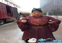 �������費���Ҹ�����ʲô��-�������費����