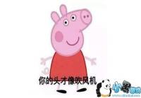 С�����洵�����ʲô��-С�����洵���ʲô��˼