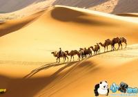 �ҿ���ɳĮ֮�۸��-�ҿ���ɳĮ֮�۸�����������