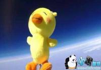 ����С��Ѽ�����-����С��Ѽ�������̬ͼ