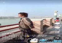 ������ؤվ������ʲô��-������ؤվ����ԭ��Ƶ