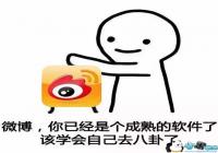 ����΢��֧���������-�����������������ͼ