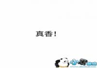 2018��ȴʻ��ȫ-2018���������д�