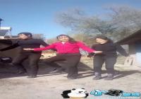 ������λ���������ԭ��Ƶ-������λ�������趯̬��ֽ