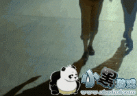 �������ǳۺ����»���·��̬ͼ-���ǳ����»���·��ͼƬ