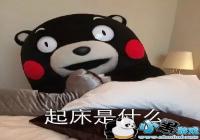 ��������ʲô�����-��������ʲôͼƬ��ȫ