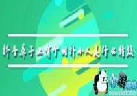 �����������и�����С����Ч-�������ӻᶯ��С����Ч����