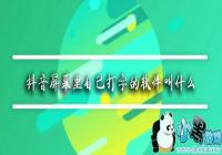 ������Ļ��ô�Լ�����-������Ļ���Լ����ֵ�����