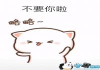 �����Ҳ�Ҫ���������-�Ҳ�Ҫ�������Ҳ�Ҫ���������