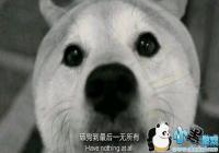 ����һ������ʲô��-����һ������ʲô��˼