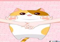 �����������ױ�ֽ-�ֻ�������������ֽ����ͼ