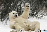 ���������ۺ���ظ�-���������۱��˵�˵˵