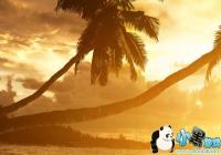 ���������¼-�����������۴�ȫ