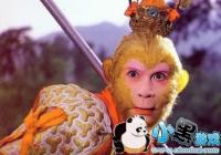 ��������ô�û�ѧ֪ʶ��˵�������-�����û�ѧ��������