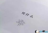 ������������������ͼ-�����ϵ���������ͼ