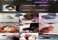 ������������-���������ĳ���