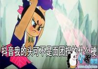 �ҵ�ͷ�ɲ����������ʲô��-�����ҵ�ͷ�ɲ����������