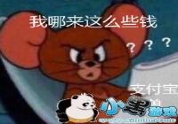 ����֧��������˵������-����ô������ô��Ǯ�����