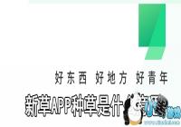 �²��ֲ���ʲô��˼-�²��ֲ���ʲô��