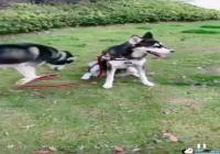 ��������Կ�˩������ʲô��-��������Կ�˩������ʲô��˼