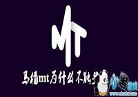 ��ͰmtΪʲô���ܵ�¼-��Ͱmt��¼����